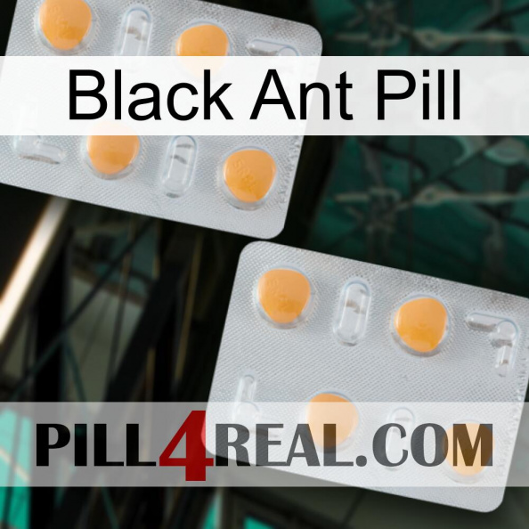 Black Ant Pill 25.jpg